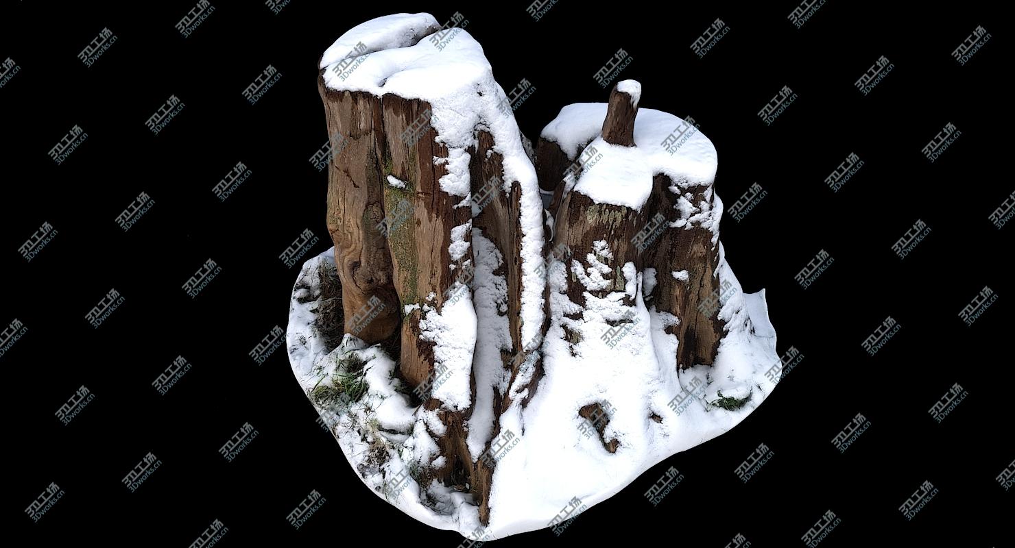 images/goods_img/202105073/Nature Snow Collection 02 3D model/5.jpg